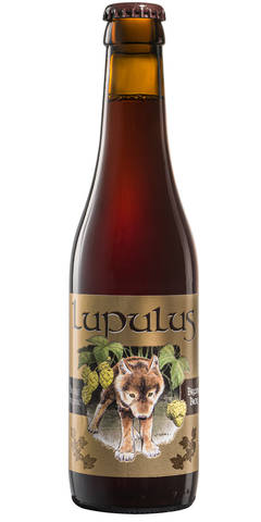 Lupulus Brune Bio