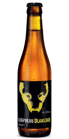 Lupulus Blanche