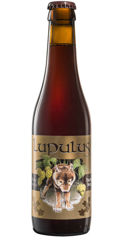 Lupulus Brune Bio