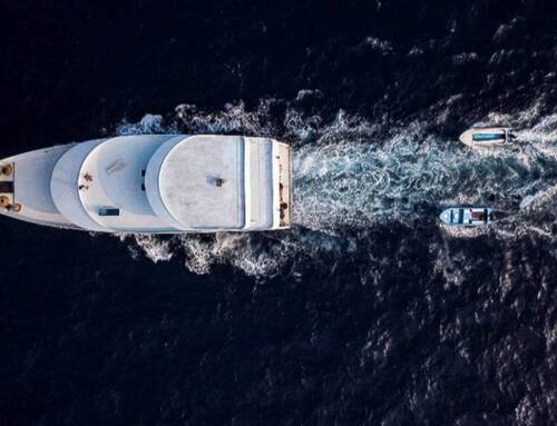 Drive In "au frais", prêt à boire